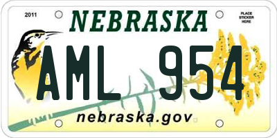 NE license plate AML954