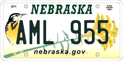 NE license plate AML955