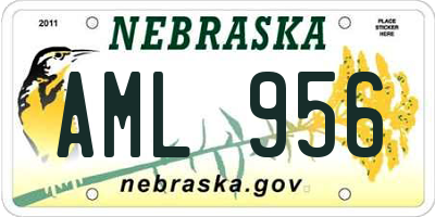 NE license plate AML956