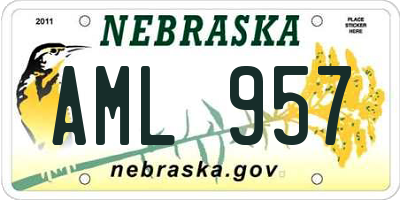 NE license plate AML957