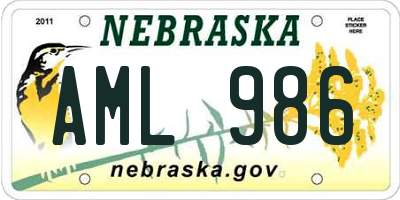 NE license plate AML986