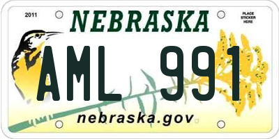 NE license plate AML991