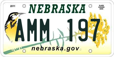 NE license plate AMM197