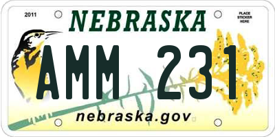 NE license plate AMM231