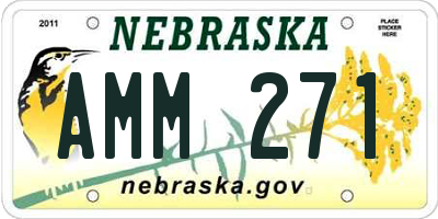 NE license plate AMM271