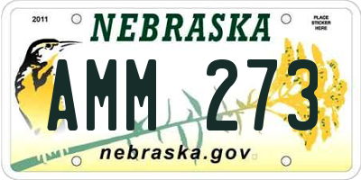 NE license plate AMM273