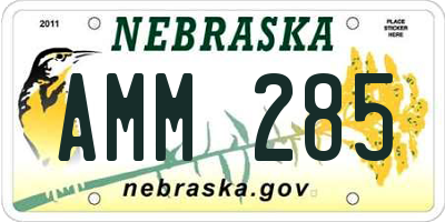 NE license plate AMM285