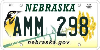 NE license plate AMM298