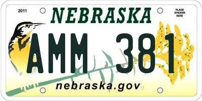 NE license plate AMM381