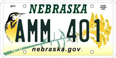 NE license plate AMM401