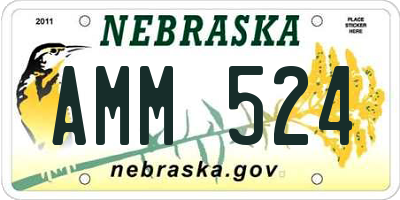 NE license plate AMM524