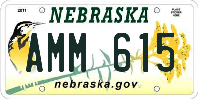 NE license plate AMM615