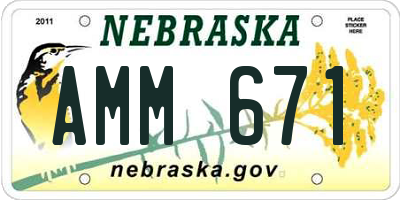 NE license plate AMM671