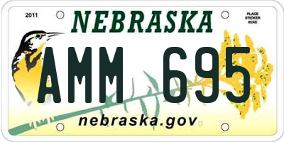 NE license plate AMM695