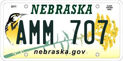 NE license plate AMM707