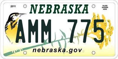 NE license plate AMM775