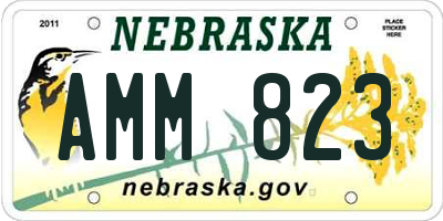NE license plate AMM823