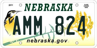 NE license plate AMM824