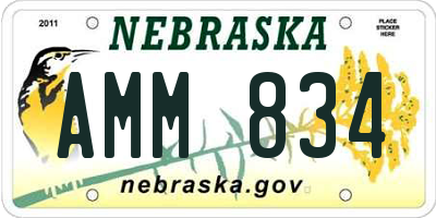 NE license plate AMM834
