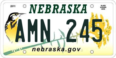NE license plate AMN245