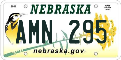 NE license plate AMN295
