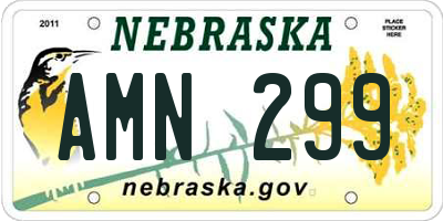 NE license plate AMN299