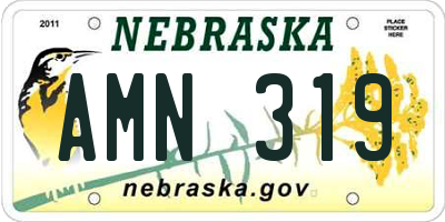 NE license plate AMN319