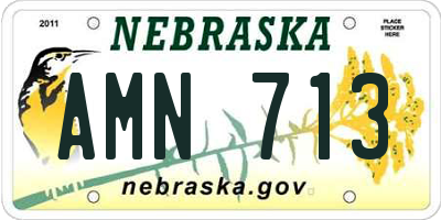 NE license plate AMN713