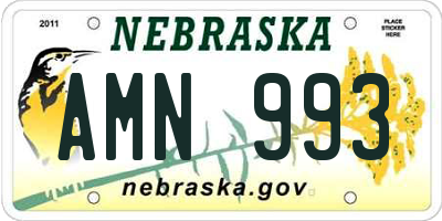 NE license plate AMN993