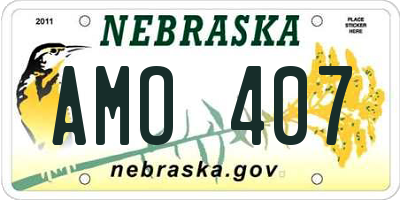 NE license plate AMO407