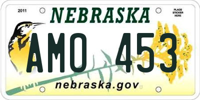 NE license plate AMO453