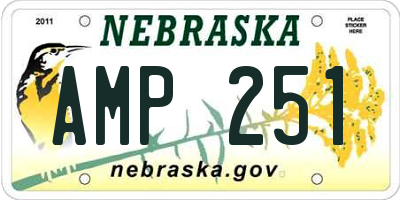NE license plate AMP251