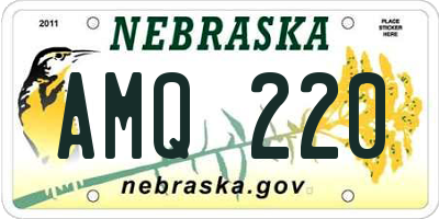 NE license plate AMQ220
