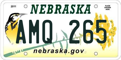 NE license plate AMQ265