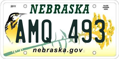 NE license plate AMQ493