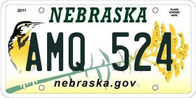NE license plate AMQ524
