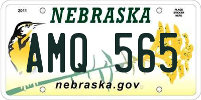 NE license plate AMQ565