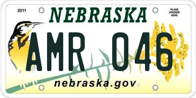 NE license plate AMR046
