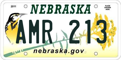 NE license plate AMR213