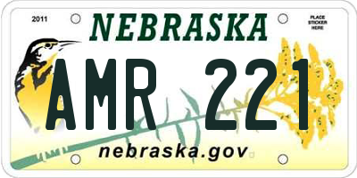 NE license plate AMR221
