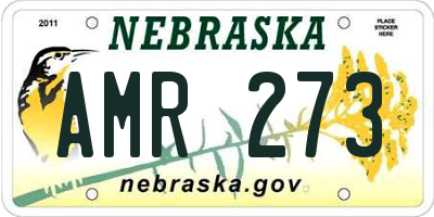 NE license plate AMR273