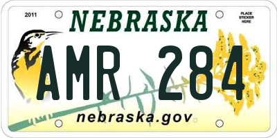 NE license plate AMR284