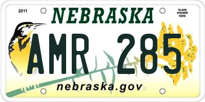 NE license plate AMR285