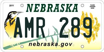 NE license plate AMR289