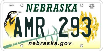 NE license plate AMR293