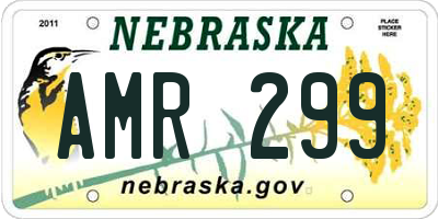 NE license plate AMR299