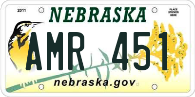 NE license plate AMR451