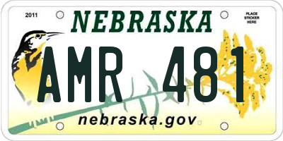 NE license plate AMR481