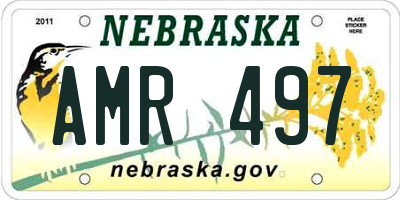 NE license plate AMR497