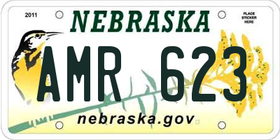 NE license plate AMR623